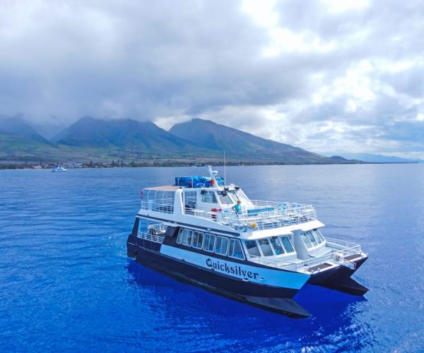 Ma’alaea Harbor: Whale Watching Catamaran Cruise – Kihei, Hawaii