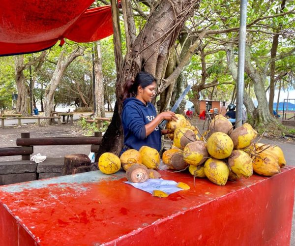 Mahebourg Street Food Tour – Mauritius, Mauritius