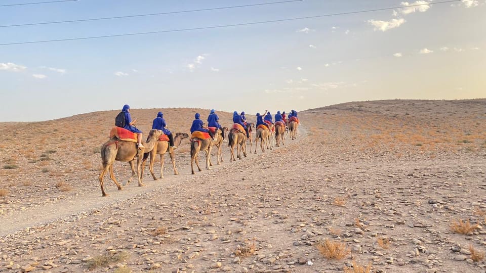 Marrakech desert dinner, camels riding, Show, transfers incl – Marrakech-Safi, Morocco