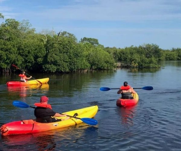 Matlacha: Dolphin & Mangrove Kayak Tour – Matlacha Pass Aquatic Preserve, Florida