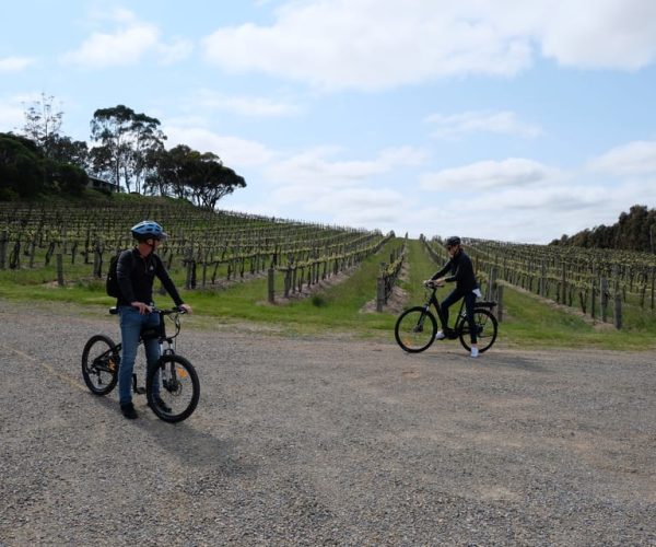 McLaren Vale: E-Bike Rental to Explore the Vineyards – South Australia, Australia