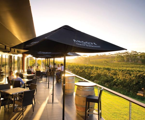 McLaren Vale North: Hop-On Hop-Off Tour City or Local Pickup – South Australia, Australia