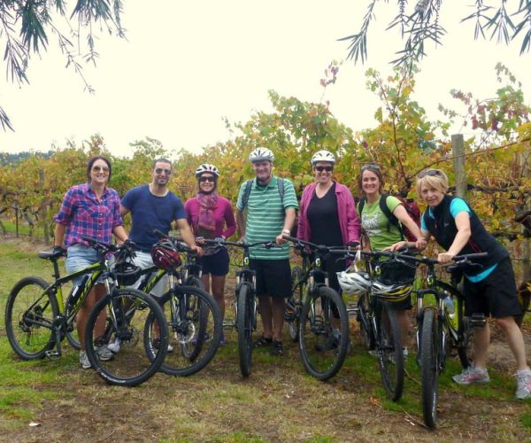 Mclaren Vale Hills Vines and Wines Bike Tour from Adelaide – South Australia, Australia