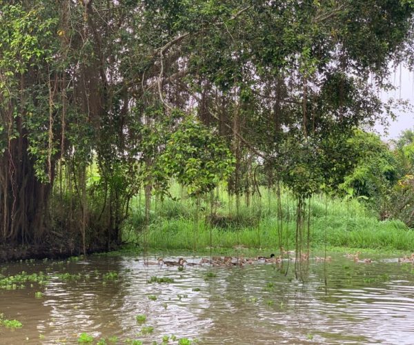 Mekong Delta: Experience the hidden gem of local river life – Southern Vietnam, Vietnam