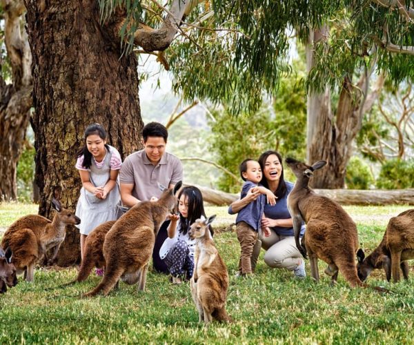 Melbourne Highlights & Aussie Wildlife Express Tour – Victoria, Australia, Australia