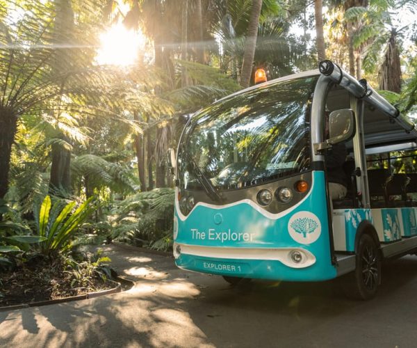 Melbourne: Melbourne Gardens Explorer Minibus Tour – Victoria, Australia, Australia