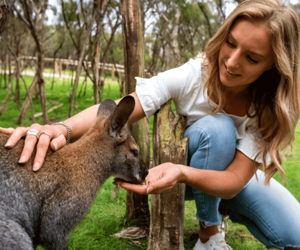 Melbourne: Peninsula Nature Private Day Trip with Dinner – Victoria, Australia, Australia