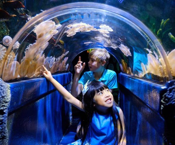 Melbourne: SEA LIFE Aquarium Entrance Ticket – Victoria, Australia, Australia