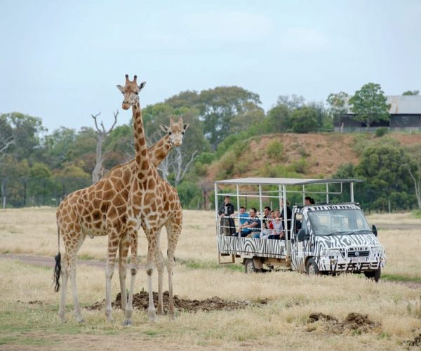 Melbourne: Werribee Open Range Zoo Admission Ticket – Victoria, Australia, Australia