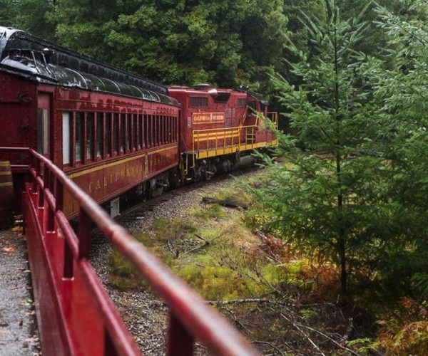 Mendocino County: Skunk Train Wolf Tree Turn Train Ride – California, California