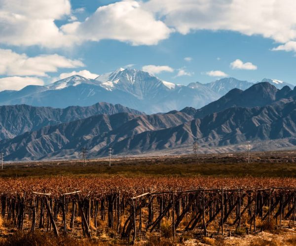 Mendoza: Full Day Wine Tour with 3 Course Lunch – Mendoza Province, Argentina