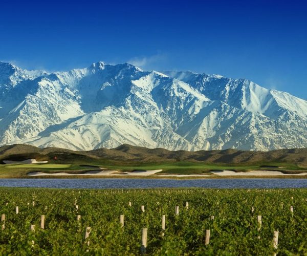 Mendoza: Half-Day Wine Tour with Tastings and Lunch – Mendoza Province, Argentina