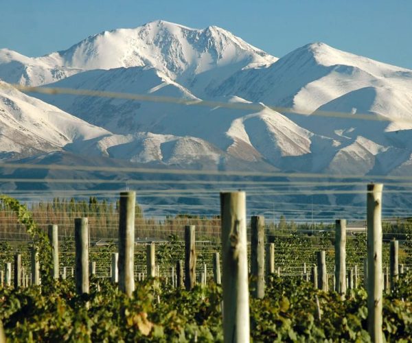 Mendoza: In the Heart of Vineyards and Olive Trees – Mendoza Province, Argentina