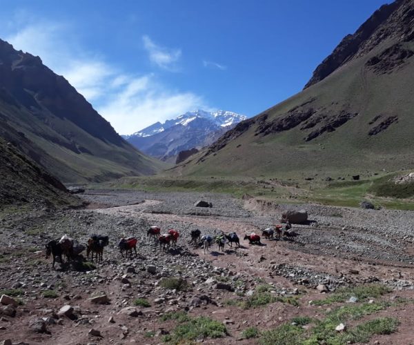 Mendoza: Mt. Aconcagua Confluencia Camp Trekking – Mendoza Province, Argentina