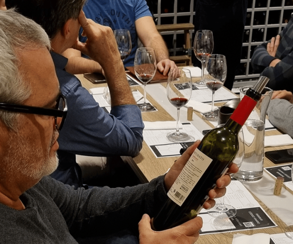 Mendoza: Premium Wine Tasting – Mendoza Province, Argentina