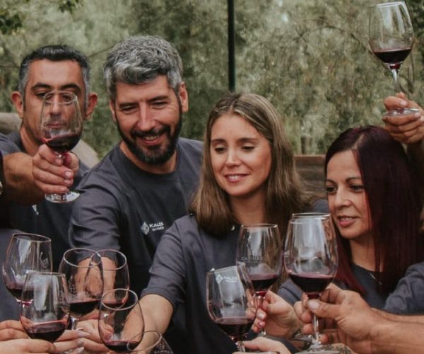 Mendoza: Private Wine Tour, Tastings and Lunch with Pairings – Mendoza Province, Argentina