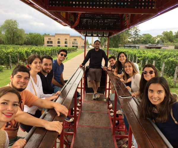 Mendoza: Winebike Tasting Tour with Optional Lunch – Mendoza Province, Argentina