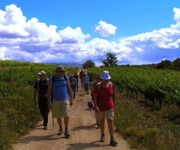 Mendoza: Wineries and Olive Oil – Mendoza Province, Argentina