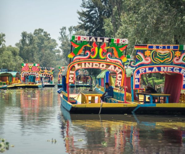 México City: Xochimilco – Coyoacán – UNAM – Greater Mexico City, Mexico