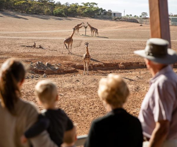 Monarto Safari Park: General Admission Tickets – South Australia, Australia