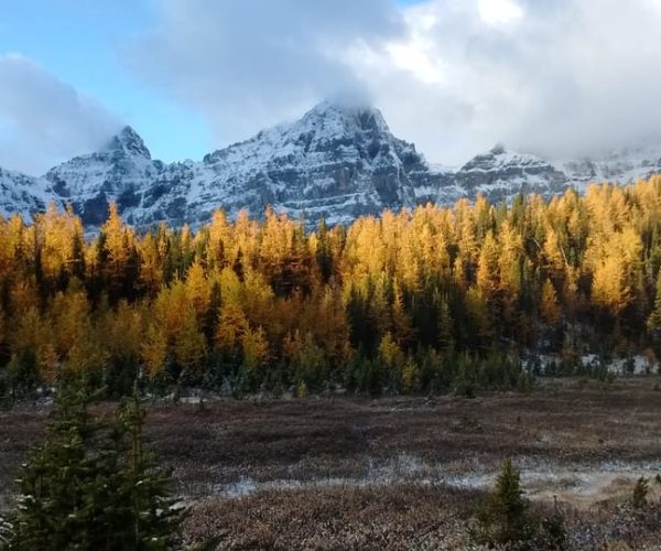 Moraine Lake & Larch Valley Hike – Alberta, Canada