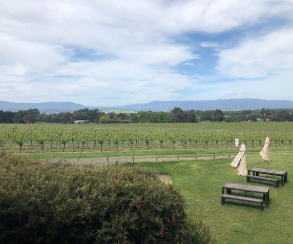 Mornington Peninsula Winery Bus Tour with Lunch & Wine – Victoria, Australia, Australia