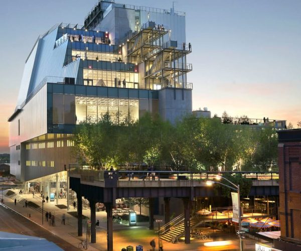 NYC: Whitney Museum Ticket or Before Hours Tour – New York City, New York