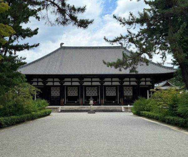 Nara: World Heritage Yakushi-ji & Toshodai-ji in 3 Hours – Kansai Region, Japan