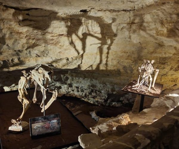 Naracoorte Caves Private Tour: Heritage & Hidden Treasures – South Australia, Australia