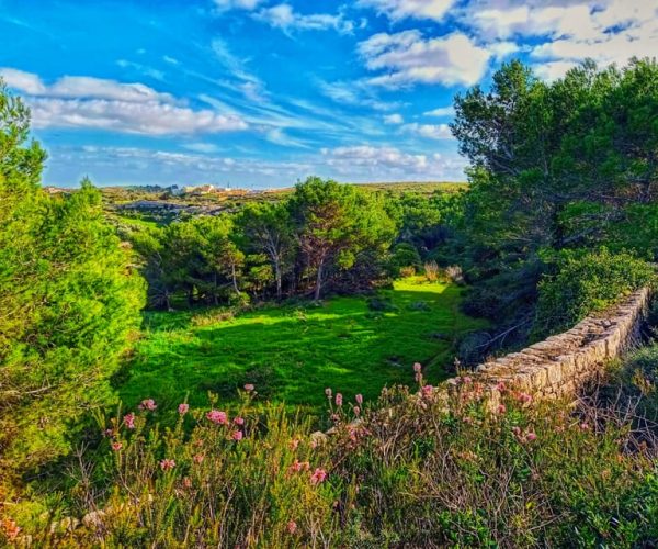 Nature Highlights Private Walking Tour with Transport – Rabat, Malta, Malta