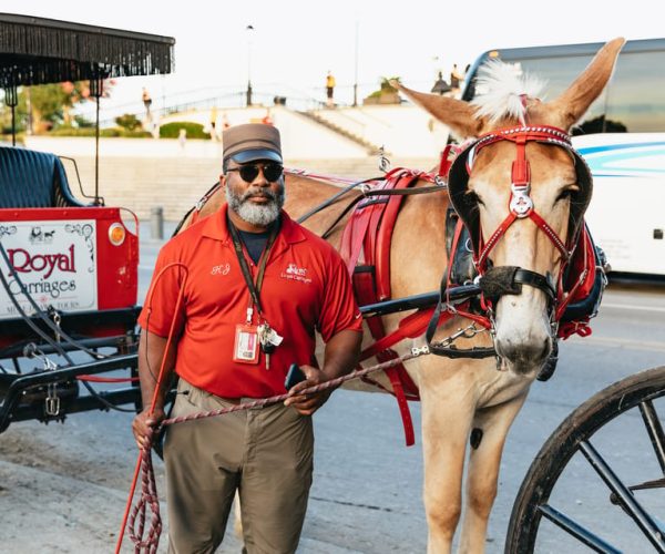 New Orleans: French Quarter Sightseeing Carriage Ride – Louisiana, United States