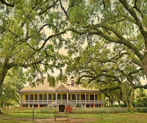 New Orleans: Laura Plantation and Airboat Tour – Louisiana, United States