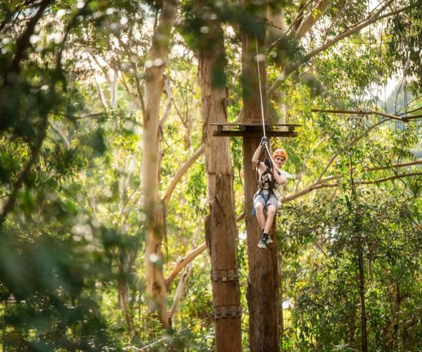 Newscastle: Australian Tree Ropes Course Adventure – New South Wales, Australia