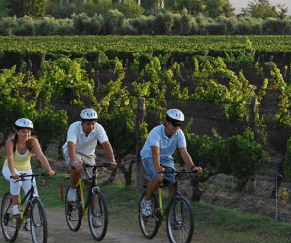 Niagara-on-the-Lake: Bicycle Tour with Wine Tasting – Ontario, Canada