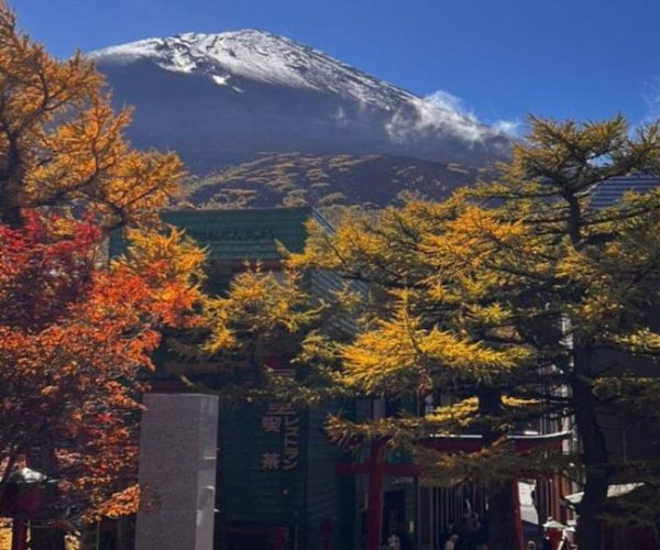 Nikko Private Tour With English Speaking Driver – Kanto Region, Japan