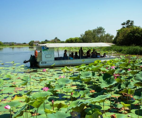 Northern Territory: Corroboree Billabong Nature Cruises – Northern Territory, Australia