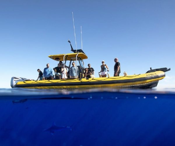 Oahu: North Shore Marine Life Tour from Haleiwa – Hawaii, United States