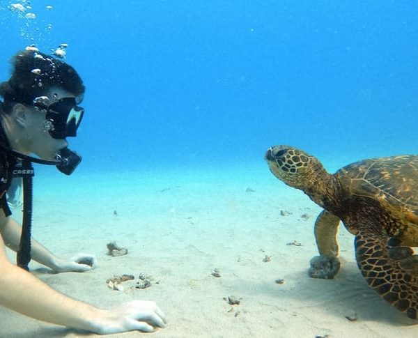 Oahu: Scuba Diving Lesson for Beginners – Hawaii, United States