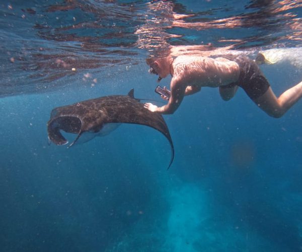 Ocean Rider: Enjoy a fun experience with Manta Rays! – Bali, Indonesia