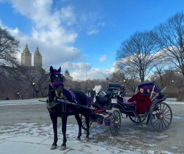 Official VIP Whole Central Park Horse Carriage Tour – New York City, New York