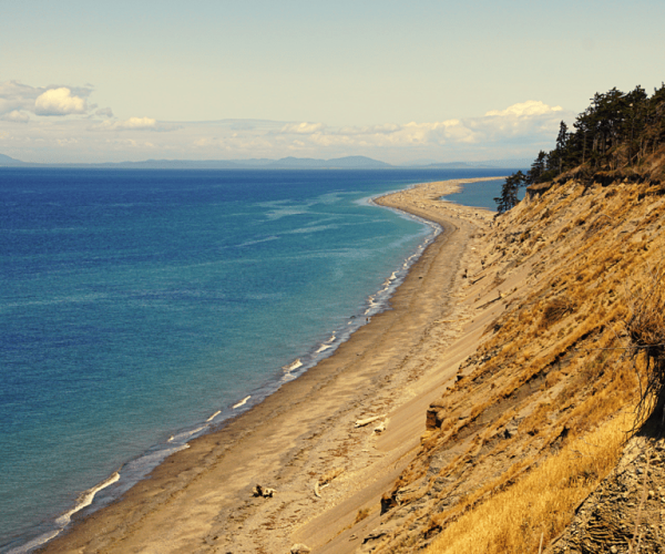 Olympic National Park: Self-Guided Drive Tour – Washington (State), United States