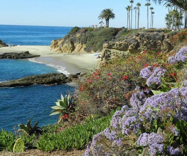 Orange County: Coastal Beach and Highlights Tour by Van – Newport Beach, California