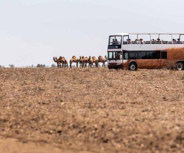 Outback Queensland: Unleashing Longreach Holiday 6-days – Queensland, Australia