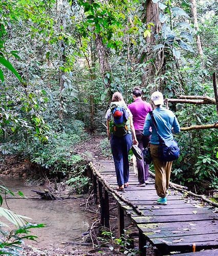 Palenque to San Cristobal. 5 day Lacandona Jungle Tour +Hike – Chiapas, Mexico