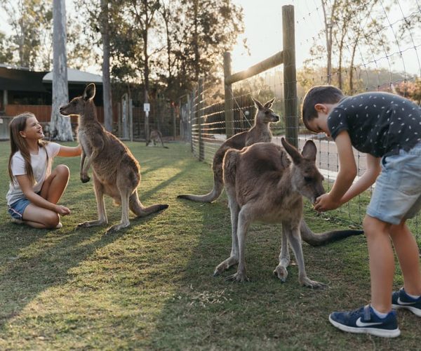 Paradise Country: Ultimate Aussie Farm Experience – Queensland, Australia