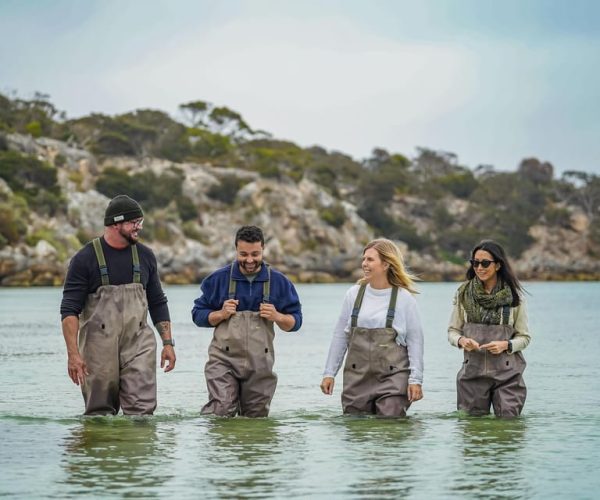 Premium Oyster Season Winter Tour Inc Wading & 12x Oysters – South Australia, Australia