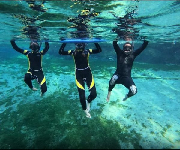 Private VIP Manatee Encounter – Crystal River, Florida