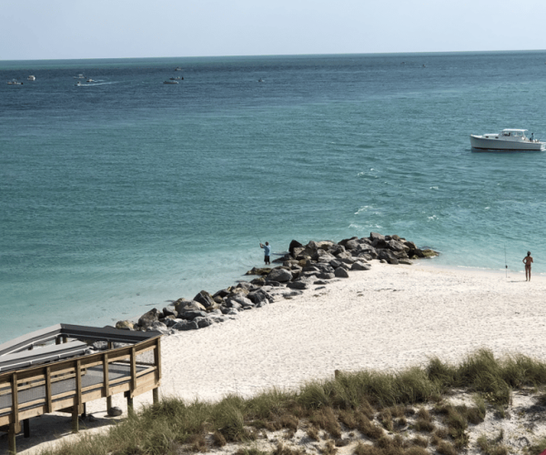 Punta Gorda: Boca Grande Pass Eco Boat Tour – Boca Grande Pass, Florida