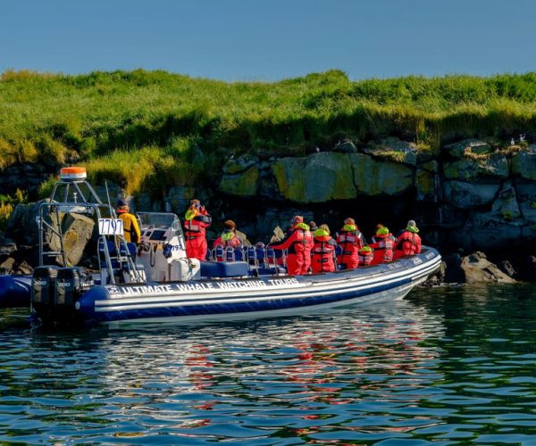 Reykjavik: Puffin Watching Tour – Western Region, Iceland, Iceland