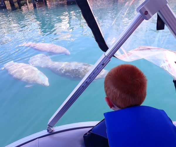 River Cruise with Manatee Viewing – Crystal River, Florida